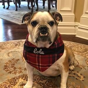 Meet your Posher, Lisa